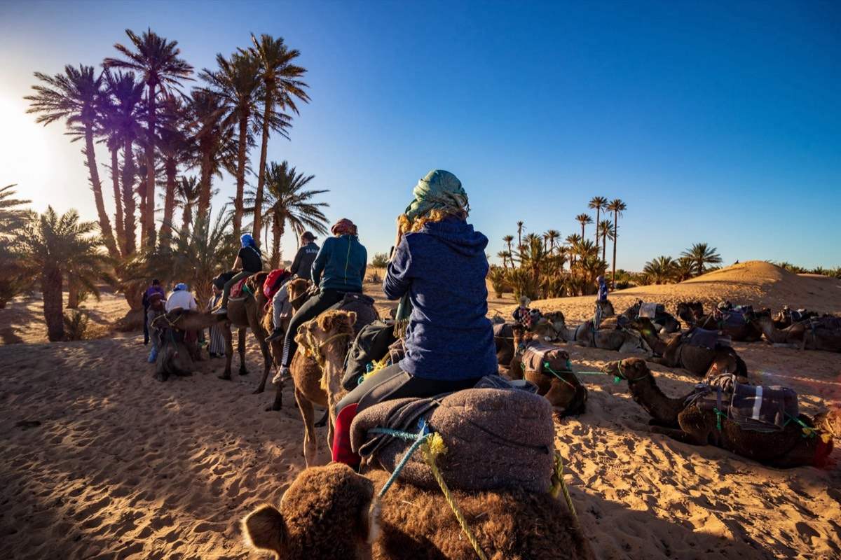 What is the best desert in Morocco?